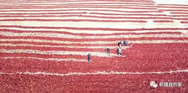 新疆新型城市,新疆刚建立的南疆城市