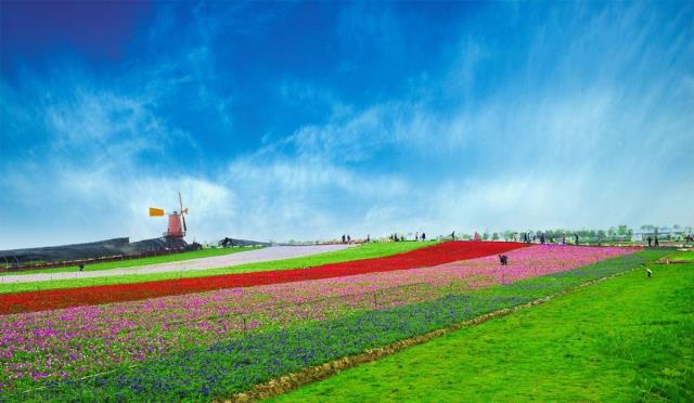 合肥高新区峰尚国际二手房,合肥高新区小区房价下降了吗