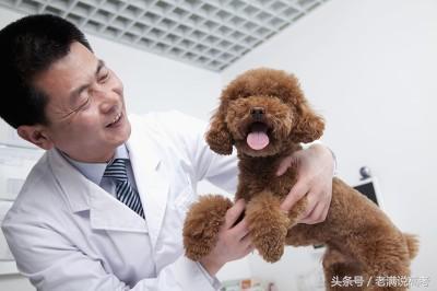 网红教师建议不要报西南大学，可知道其强悍的特色专业