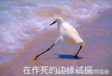 男生眉毛怎么修好看英气,男生眉毛怎么修好看自然