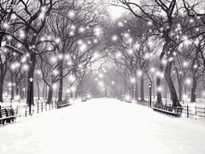 什么牌子的粉饼平价又好用,什么平价粉饼最好用又便宜