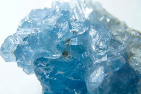 有图有真相有依据,有图有真相藏品