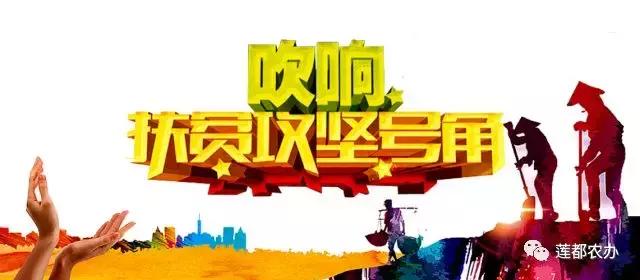 十年如一日，他们是最可爱的“扶贫人”——区农办扶贫开发科专访