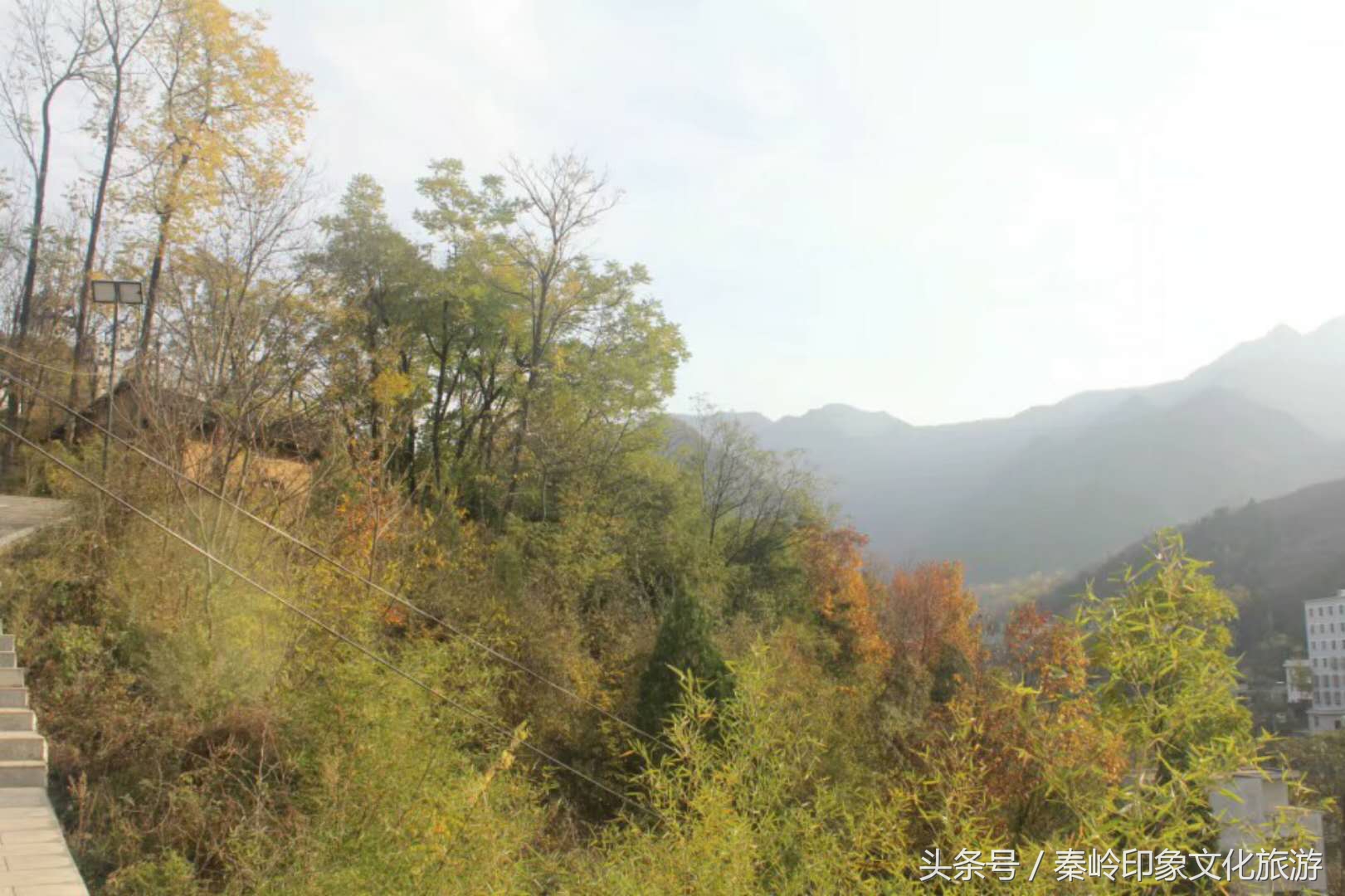 秦岭深山里的传奇故事,秦岭深山风水传说故事视频