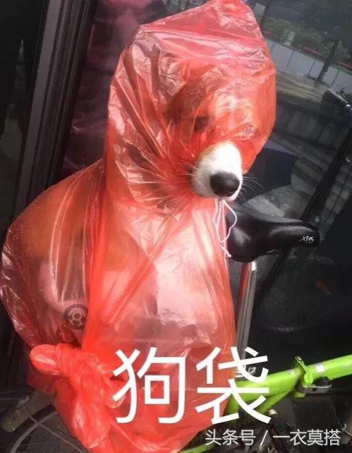 奢侈品稀奇古怪的东西测评,奢侈品奇奇怪怪的物品