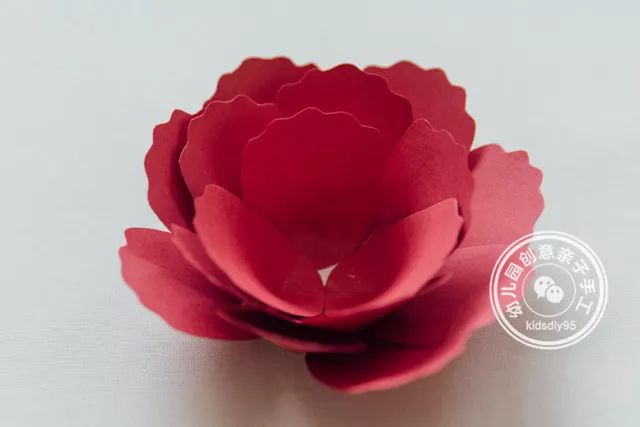 怎么用卡纸做牡丹花和郁金香,牡丹花手工制作卡纸小学