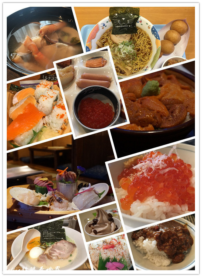 北海道的情书全文,北海道的雪日本的情书