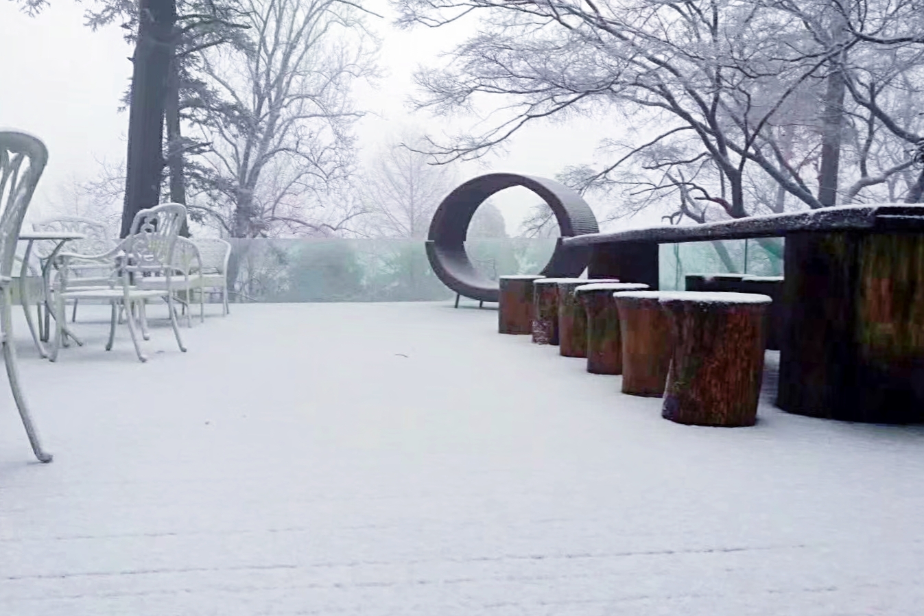 青春旅社完整版,青春旅社莫干山民宿b栋