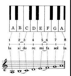 简谱乐理知识入门教学视频,音乐入门零基础知识简谱视频