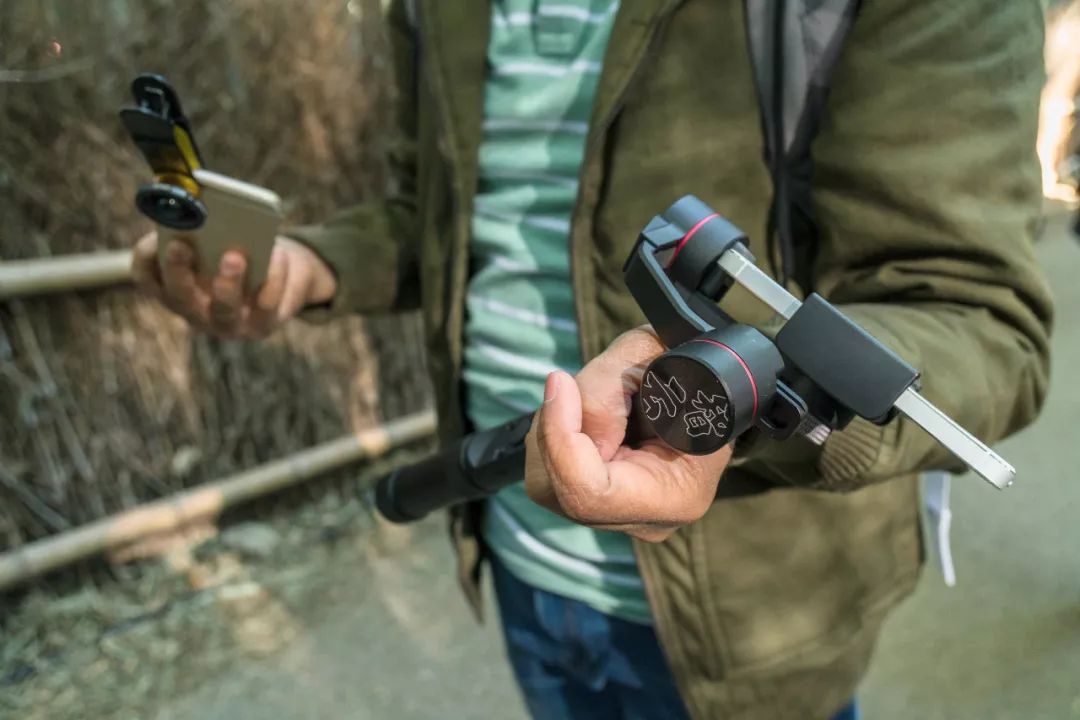 狗哥的热评,狗哥热评