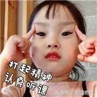 三九四九冻死老狗从什么时候开始,三九四九冻死老狗是什么时候