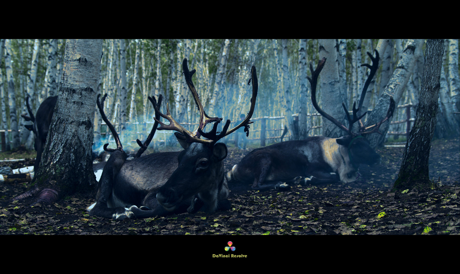 电影调色师用什么软件好,电影调色师教学视频