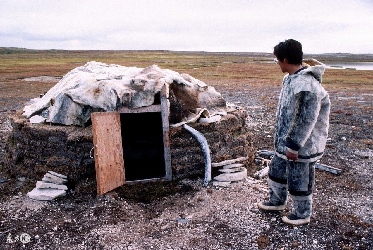 外国人讲述在二十一世纪发现最为奇怪的习俗、传统或信仰的是··