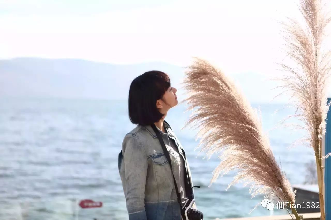 我在年末干了这么一件事