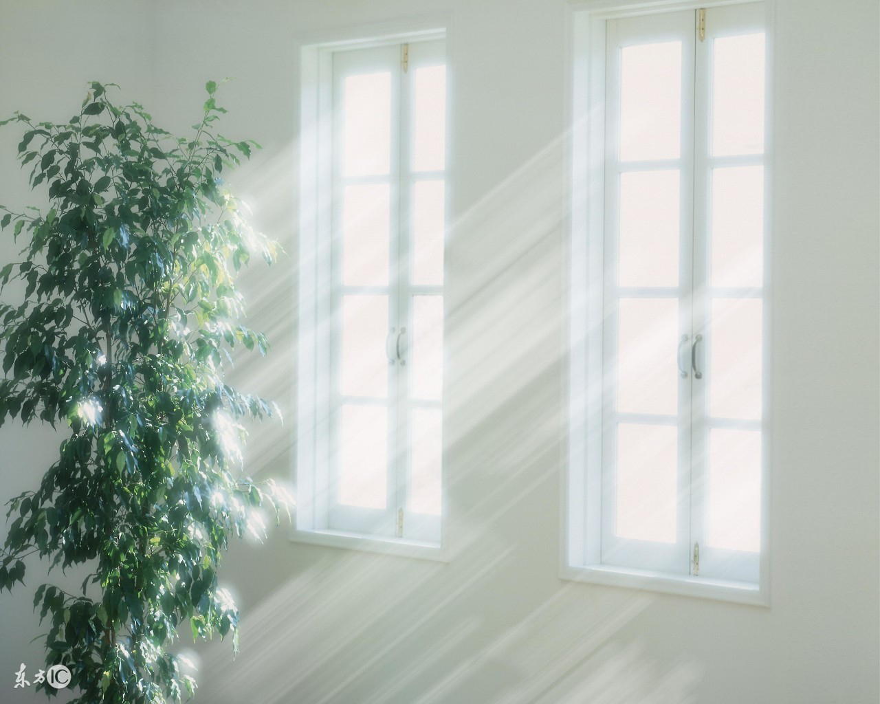 小时候我们家住在农村,小时候窗户