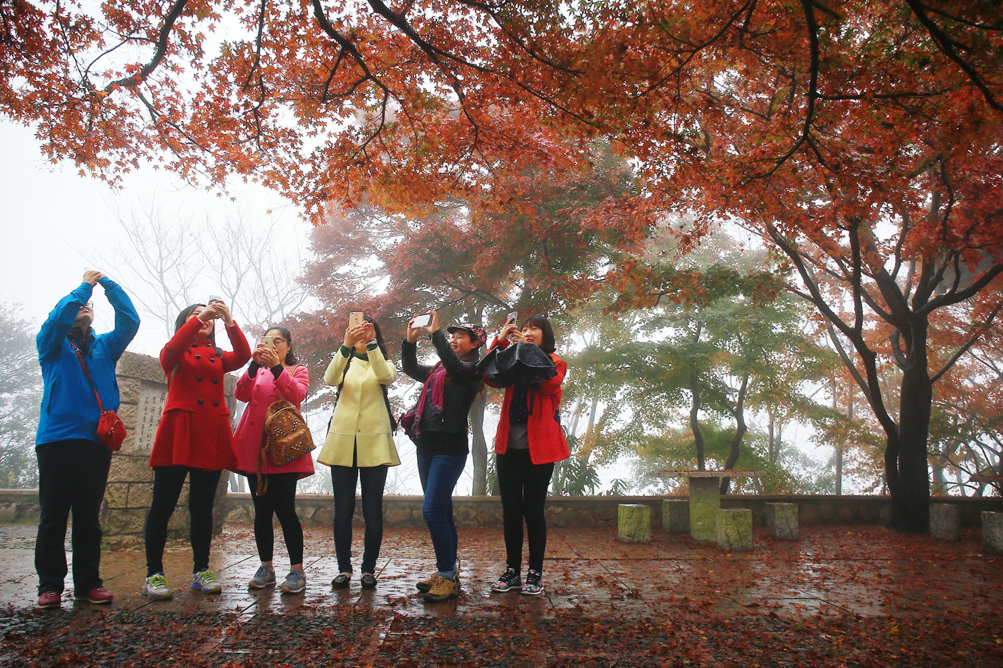 青春旅社完整版,青春旅社莫干山民宿b栋