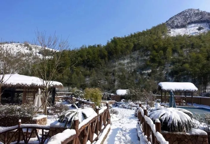 青春旅社完整版,青春旅社莫干山民宿b栋