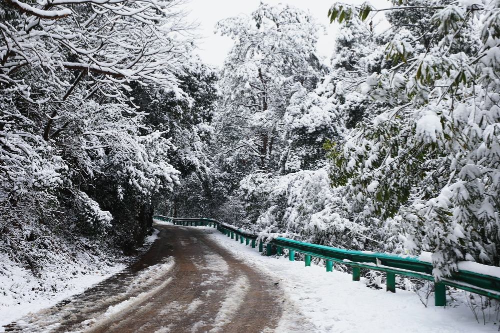 青春旅社完整版,青春旅社莫干山民宿b栋