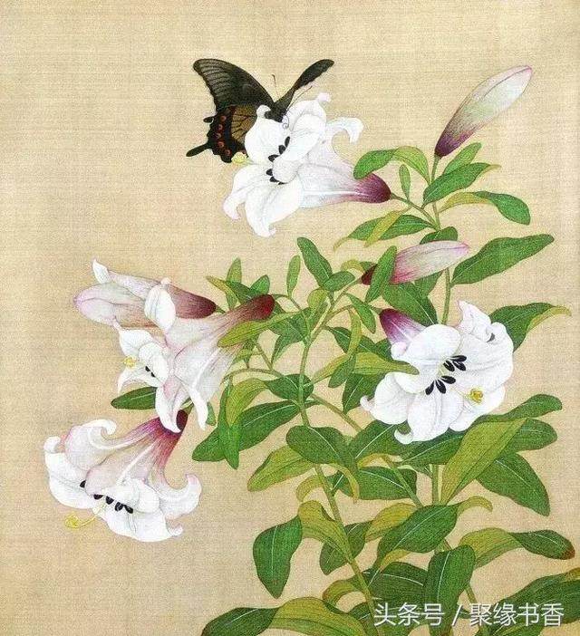 李清照鹧鸪天暗淡轻黄表达的情感,鹧鸪天寒日萧萧上琐窗李清照朗读