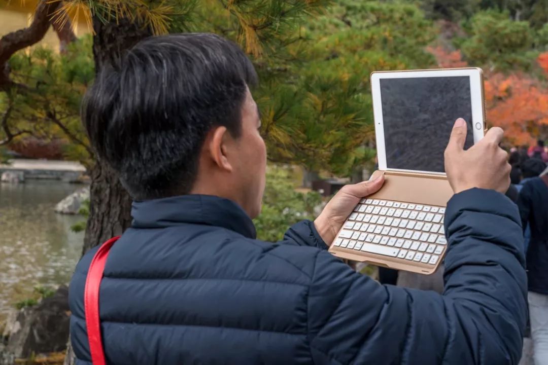 狗哥的热评,狗哥热评