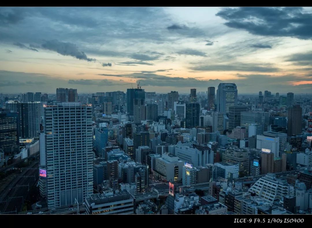 狗哥的热评,狗哥热评