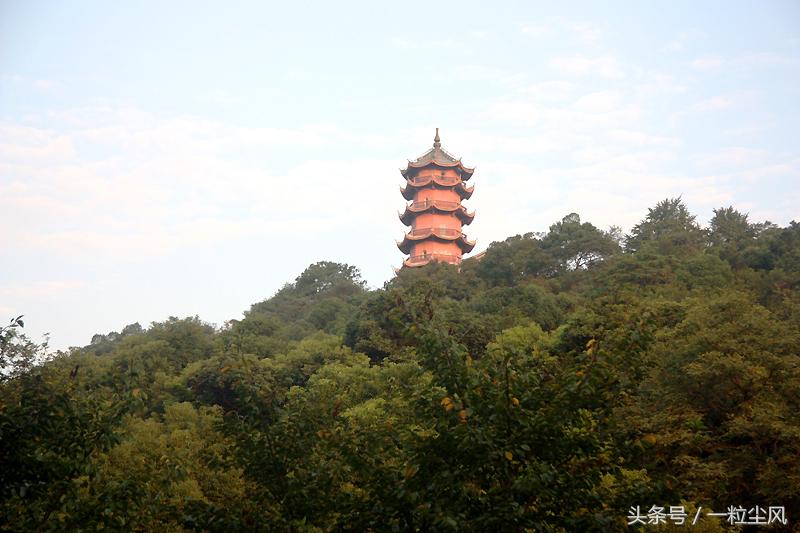 难忘的旅行完整版,难忘的旅行二十四集