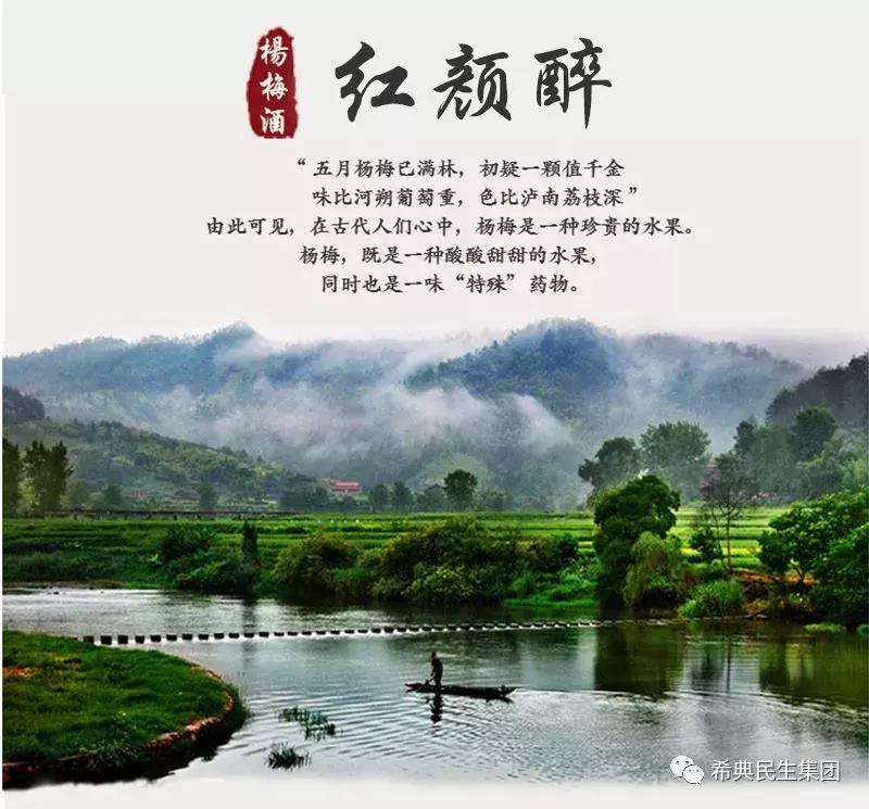 红颜醉杨梅酒,红颜醉杨梅