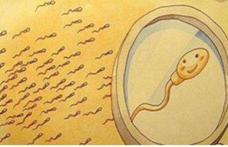 男性精子所有知识,如何判断精子死精