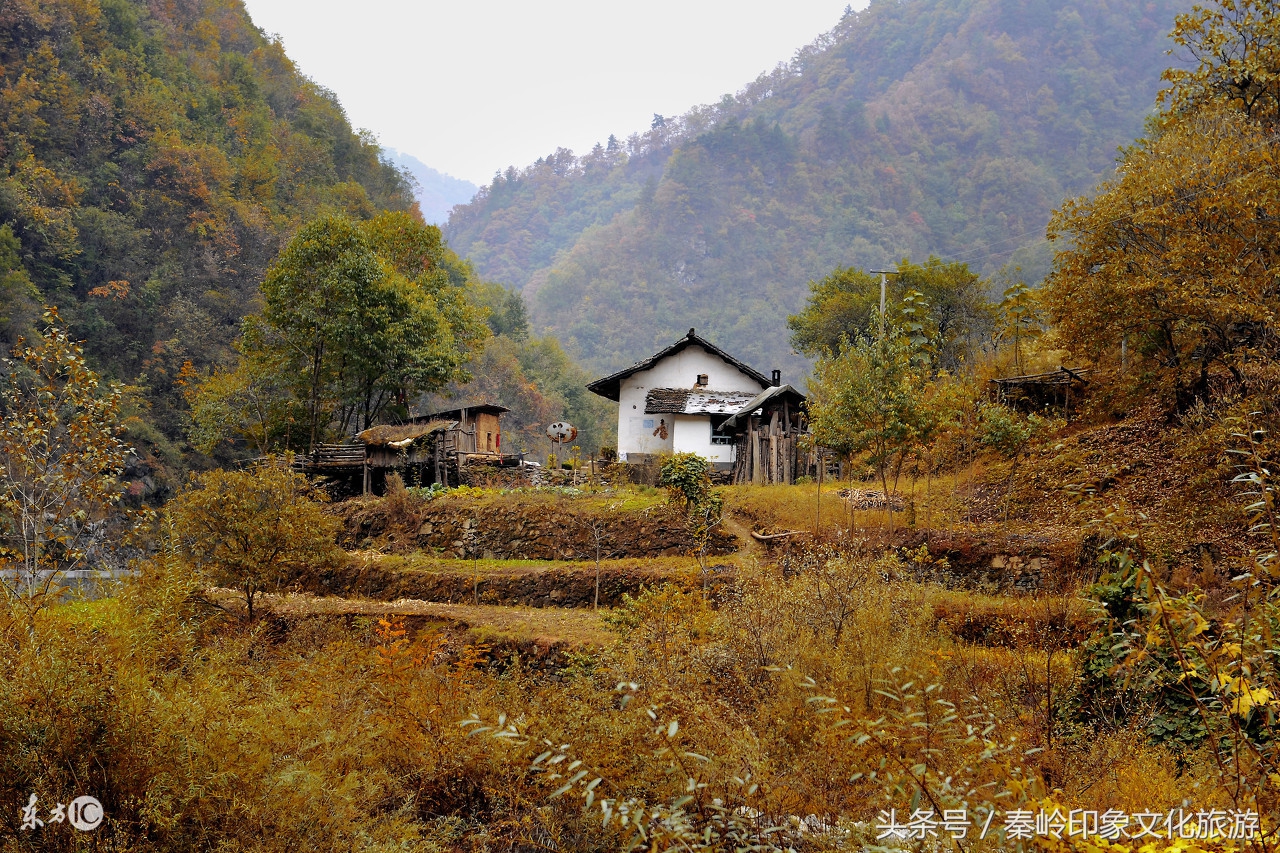 秦岭深山里的传奇故事,秦岭深山风水传说故事视频