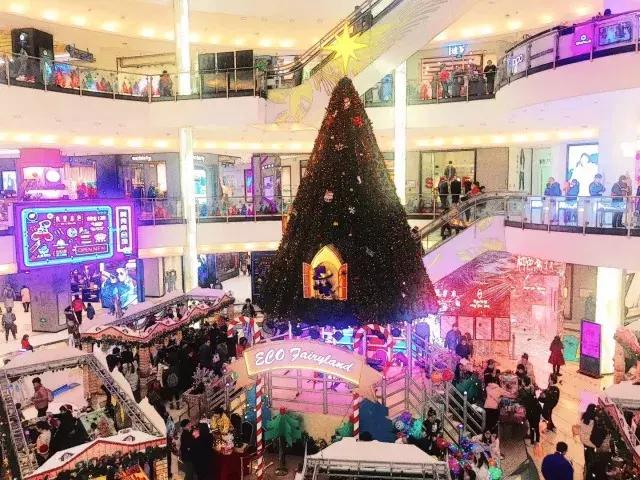 万万没想到，今年大连最火的竟是烤地瓜