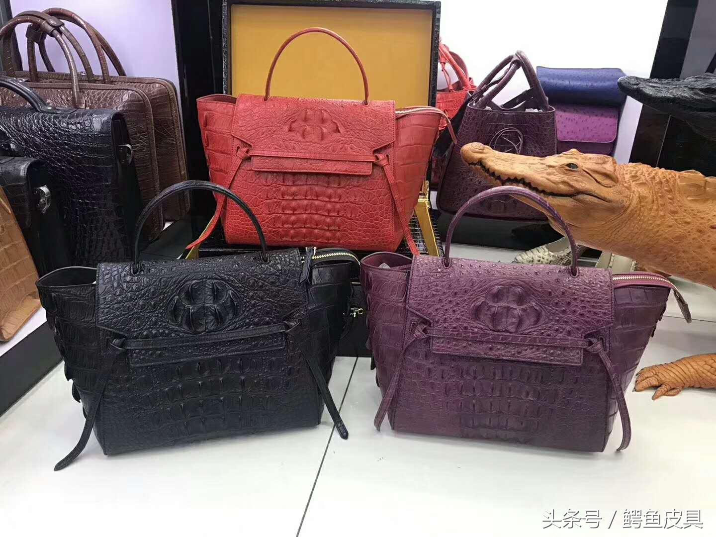鳄鱼皮种类图片大全,喜马拉雅鳄鱼皮种类
