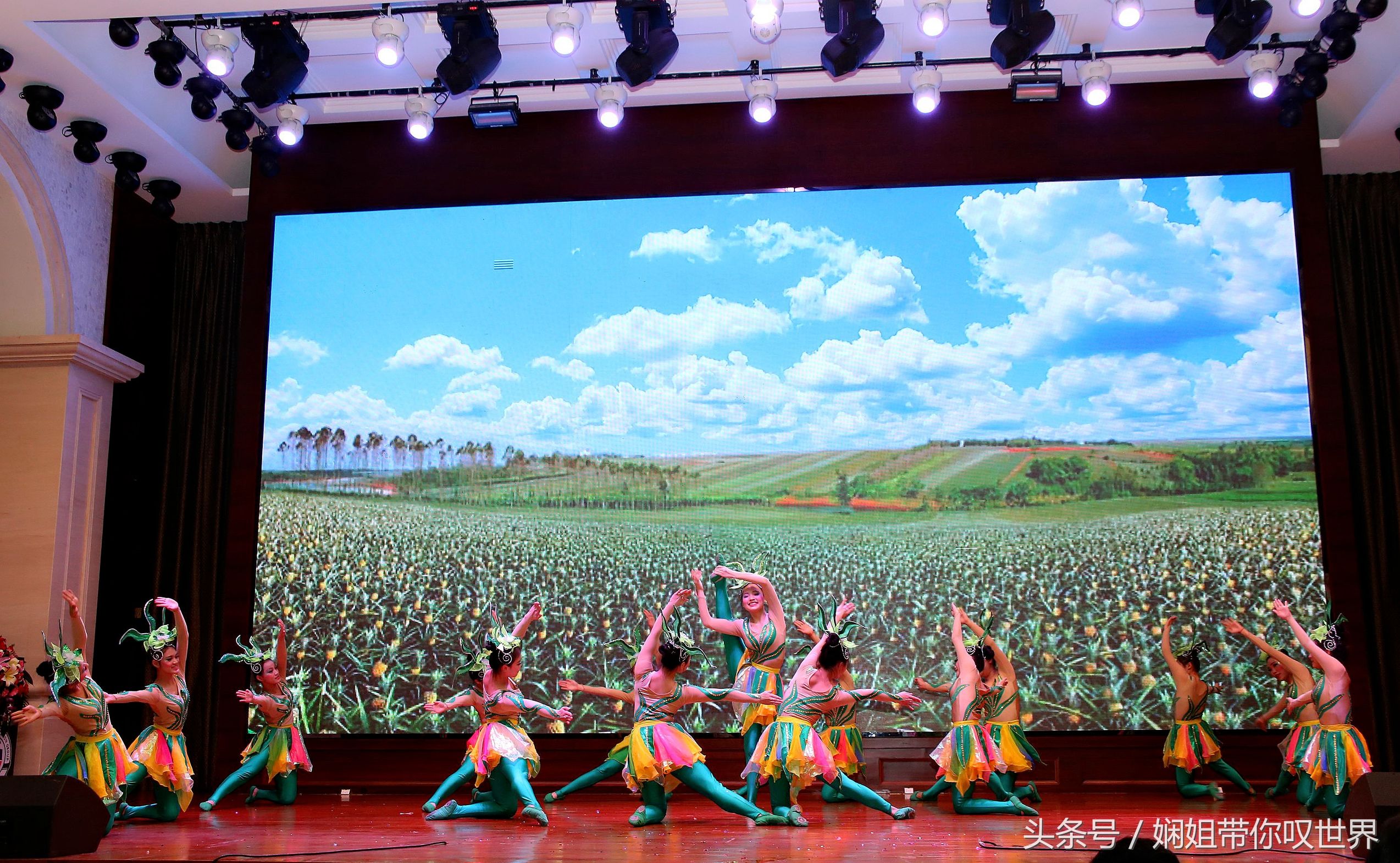 九载春华秋实今朝骏业日新的意思,春华秋实谱写事业华章