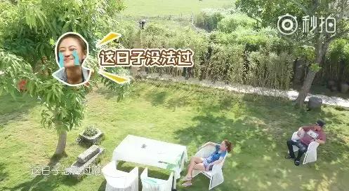 应采儿陈小春七年之痒完整版,陈小春应采儿的婚姻观