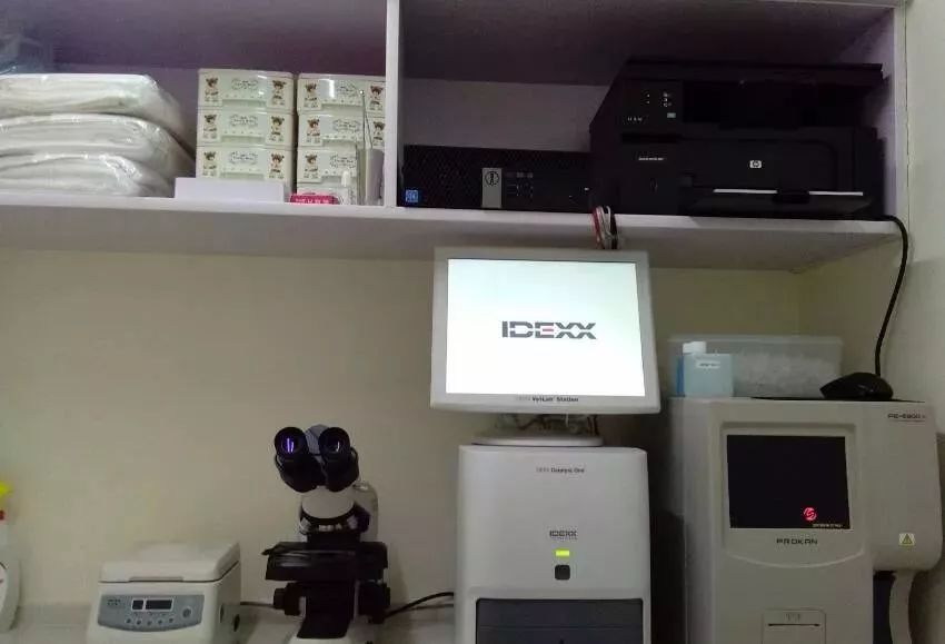 铲屎官宠物诊所,铲屎官宠物医院优惠