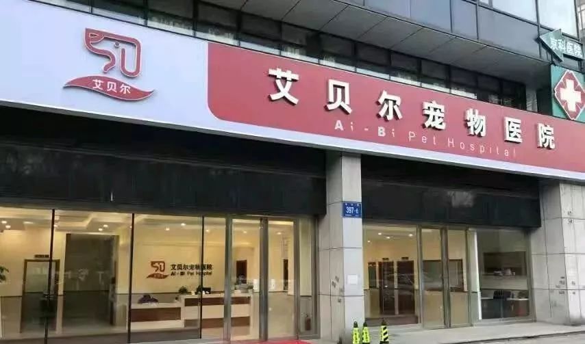 铲屎官宠物诊所,铲屎官宠物医院优惠