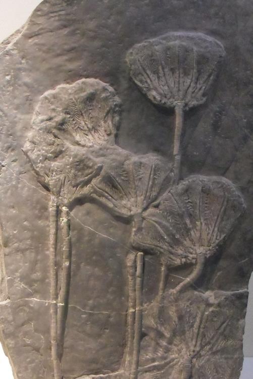 生命是什么最经典的回答,真正的生命是什么样的