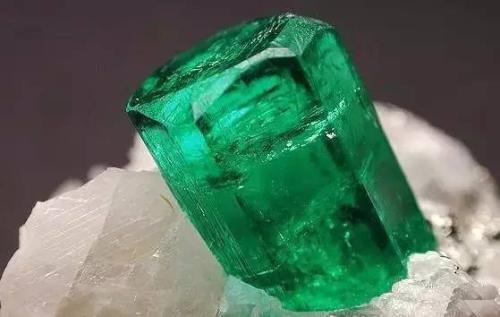 有图有真相有依据,有图有真相藏品