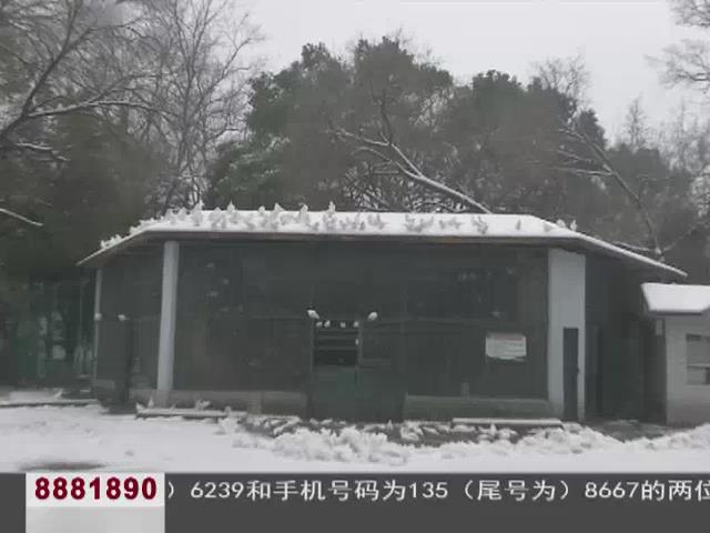 雨山湖动物园,马鞍山雨山湖动物园