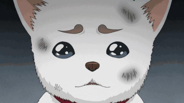 西安幼升小有哪些好学校,西安幼升小高新划分