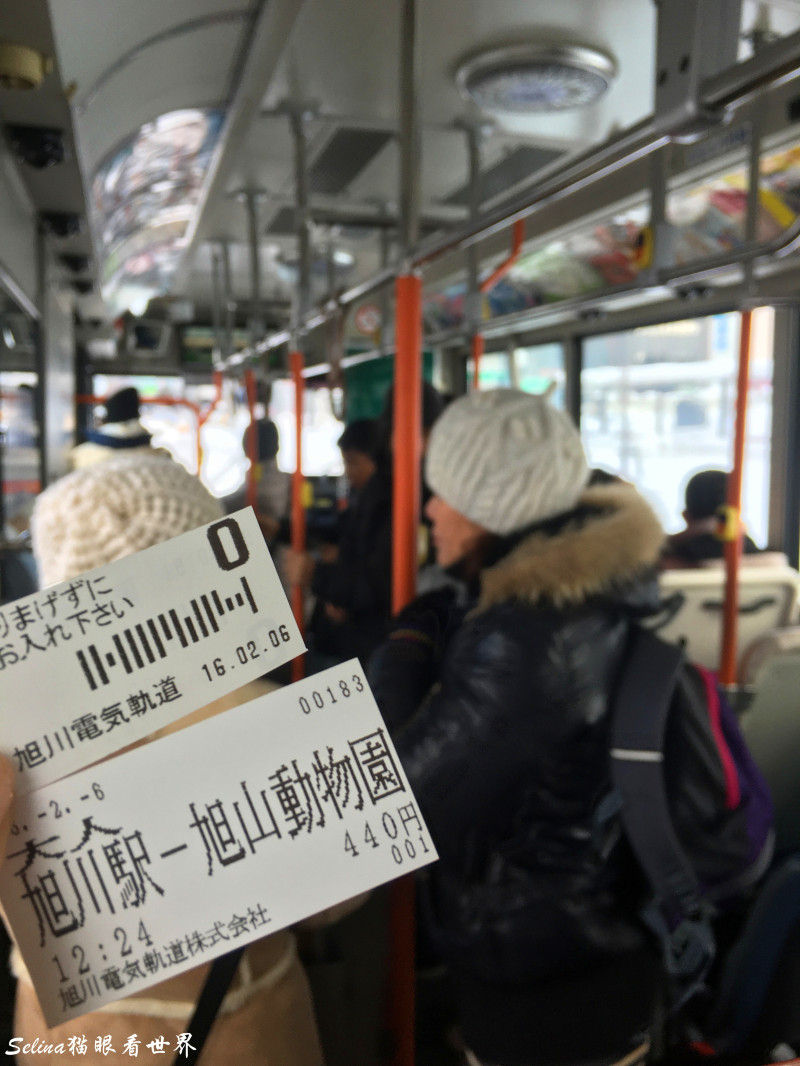 北海道的情书全文,北海道的雪日本的情书