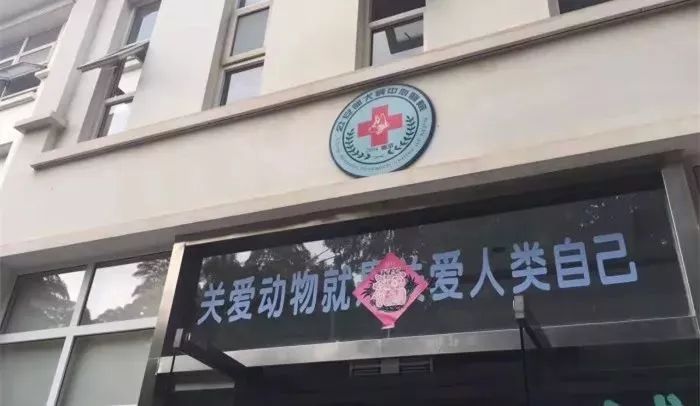 铲屎官宠物诊所,铲屎官宠物医院优惠