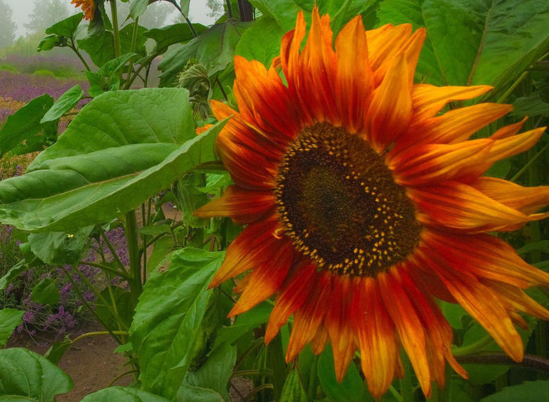 职场被排挤应该怎么办,职场被排挤如何自救