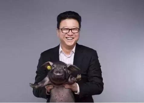 网易丁磊建设养鸡场,丁磊开了一个养猪场