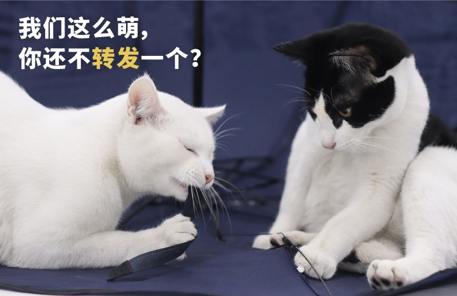 魔都50个必去地点,上海10大诡异地方