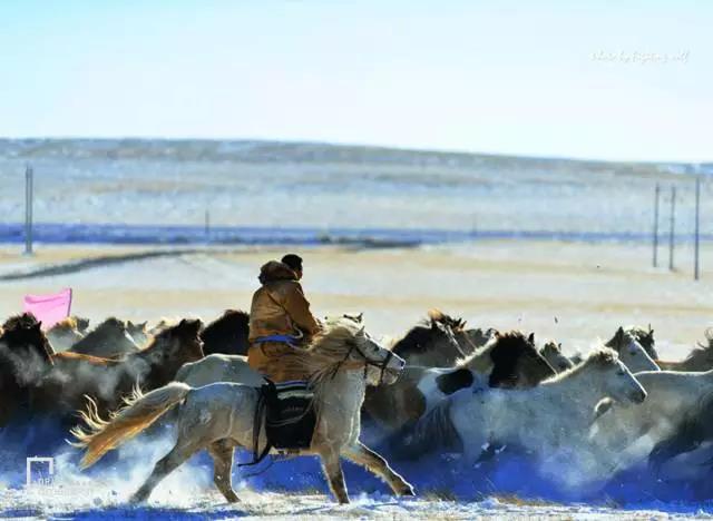 雪乡现在还坑人吗2017,东北雪乡雪上游玩