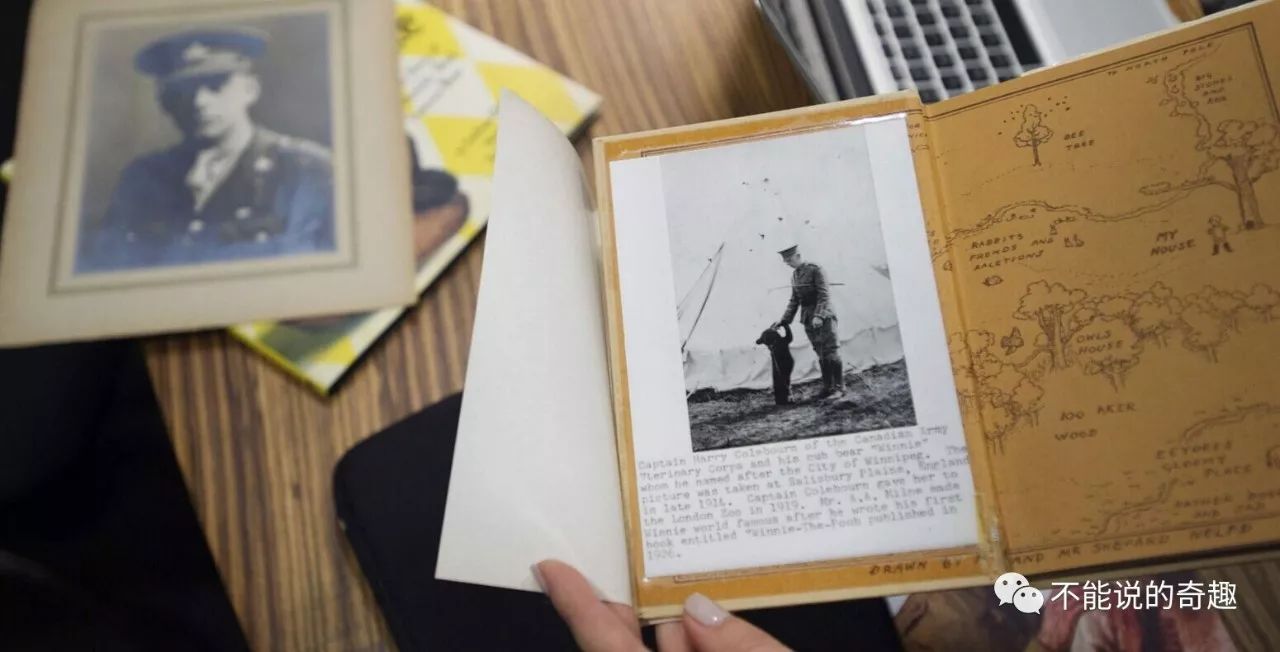 20美元被买下带回*队军**,50年后它成为红遍全球的小熊维尼