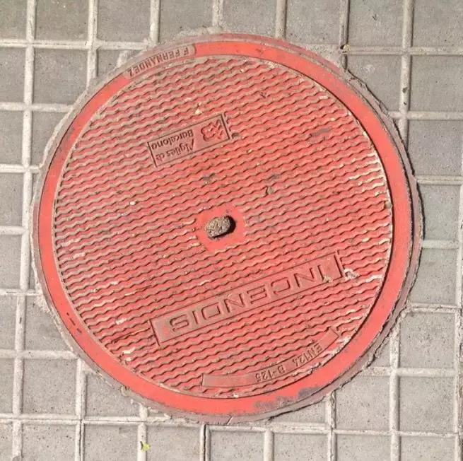 井盖虽然天天见，但不是所有人都能发现它的美