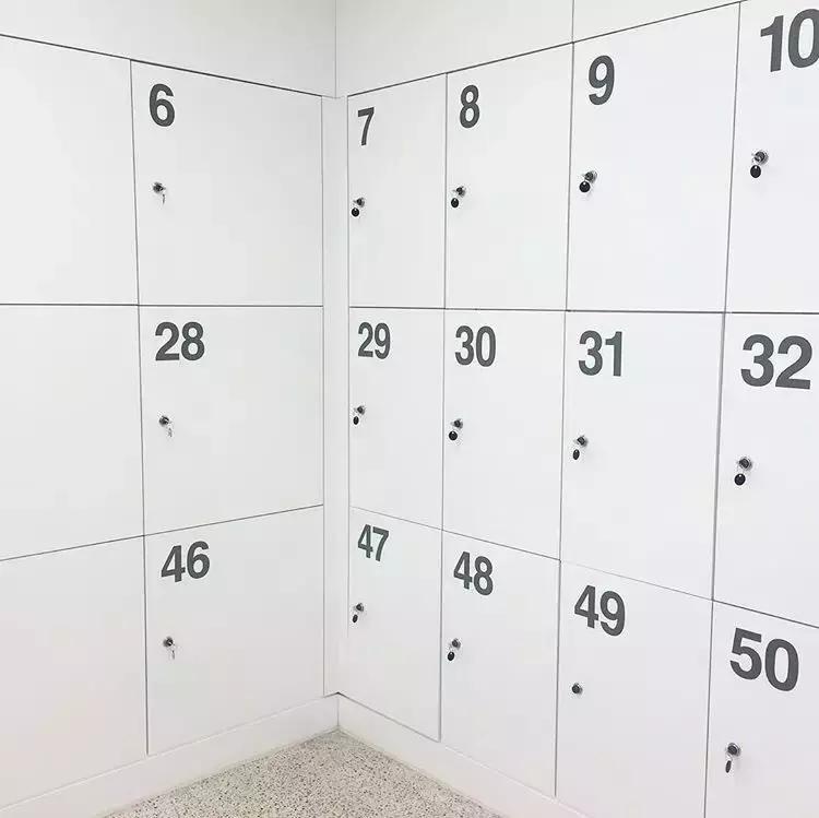 井盖虽然天天见，但不是所有人都能发现它的美