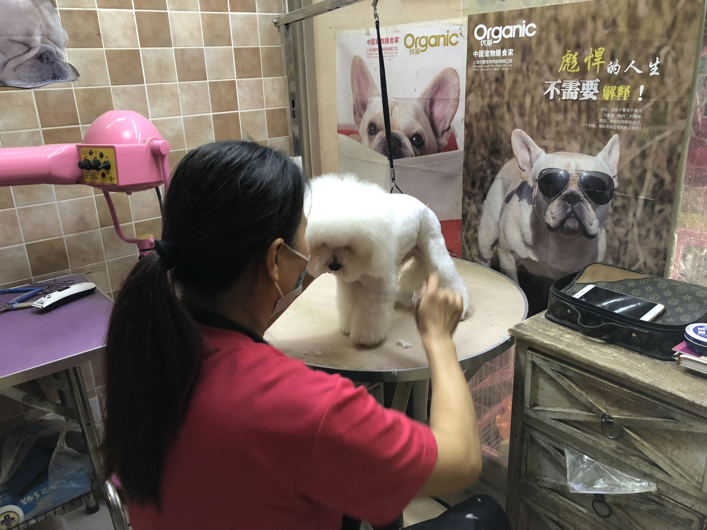 人口老龄化宠物消费,2021宠物消费人群报告