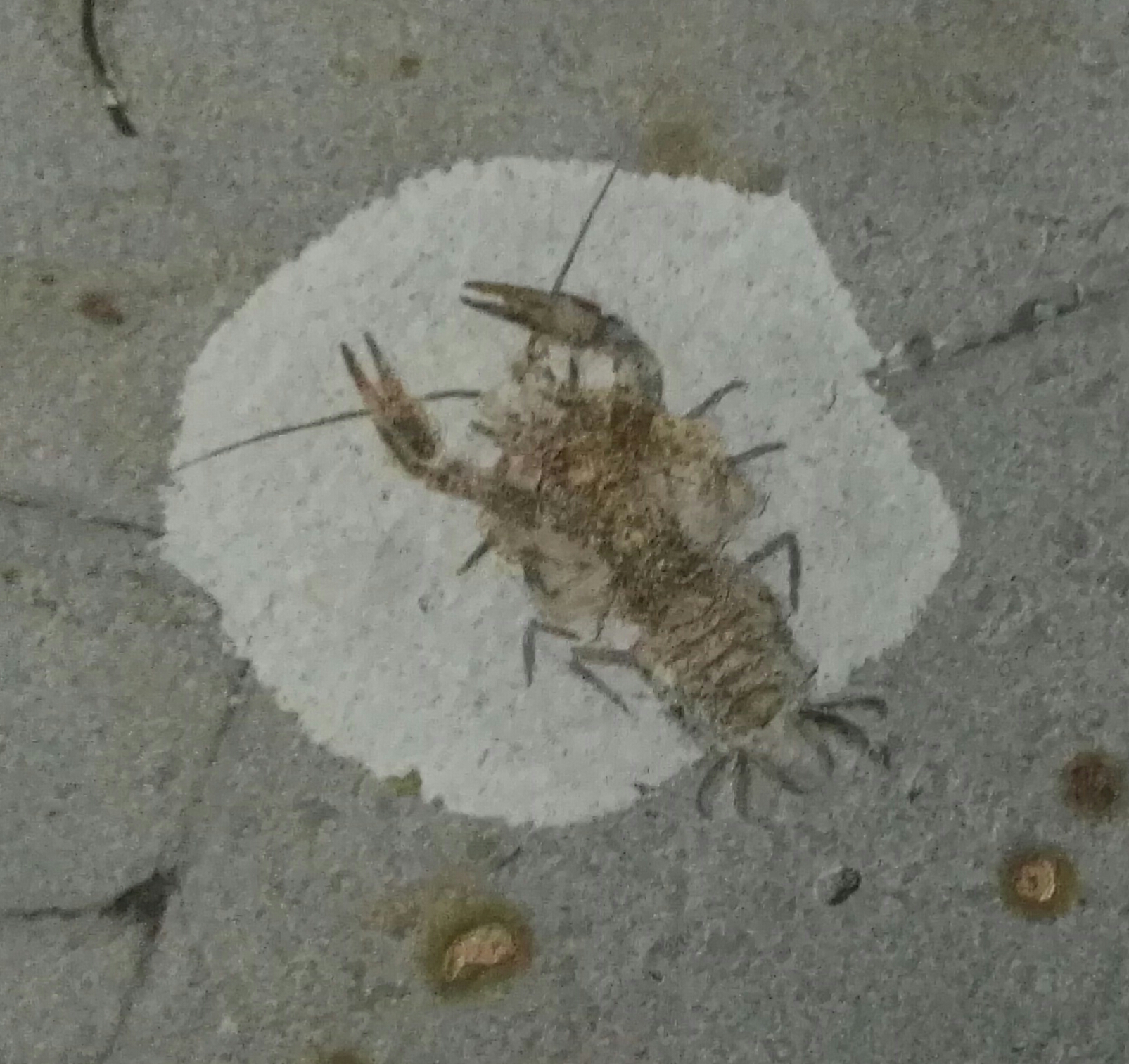 生命是什么最经典的回答,真正的生命是什么样的